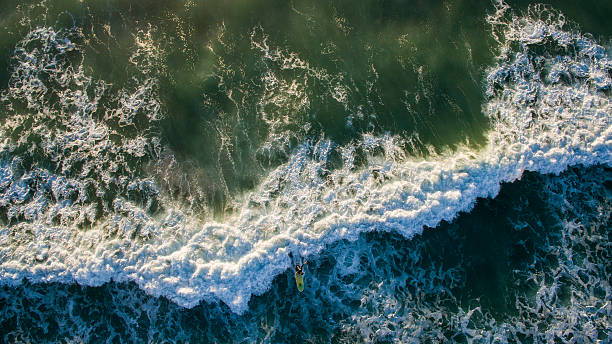 istock Aerial of surfer riding a wave 501890424