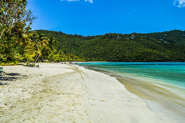 istock Beach scene showing sand, sea and sky - Virgin Islands 501890648