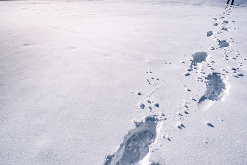 An image with a trail of footprints in a thick layer of snow.