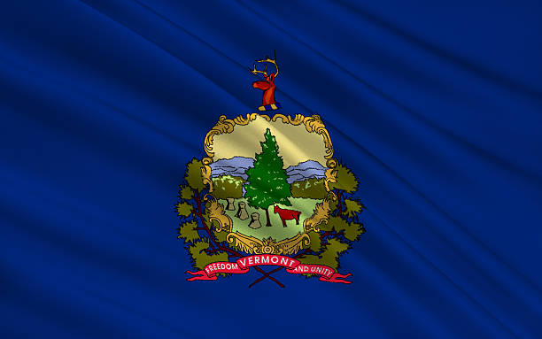 istock State Flag of Vermont 501903894
