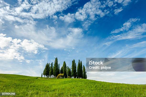 Green Cypress Hill Val Dorcia Tuscany Springtime Stock Photo - Download Image Now