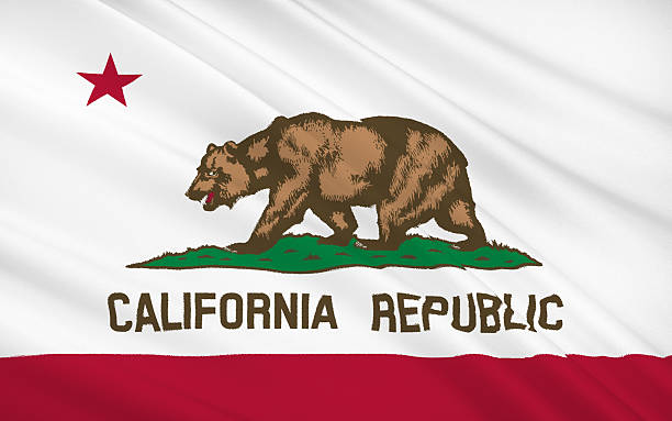 istock State Flag of California 501905098