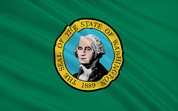 istock State Flag of Washington 501905350