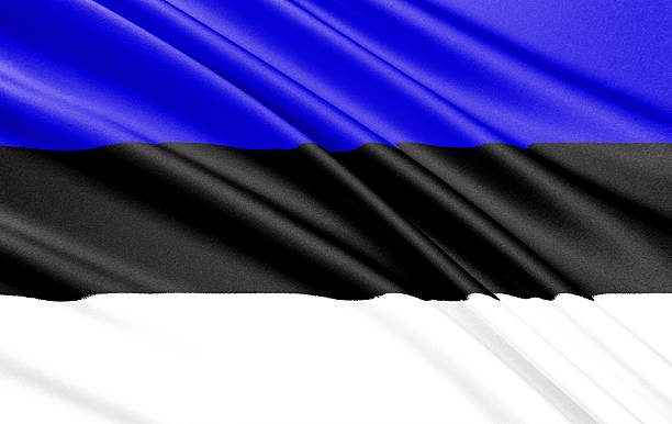 istock Flag of Estonia 501905896