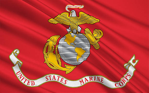 istock Flag of United States Armed Forces 501906744