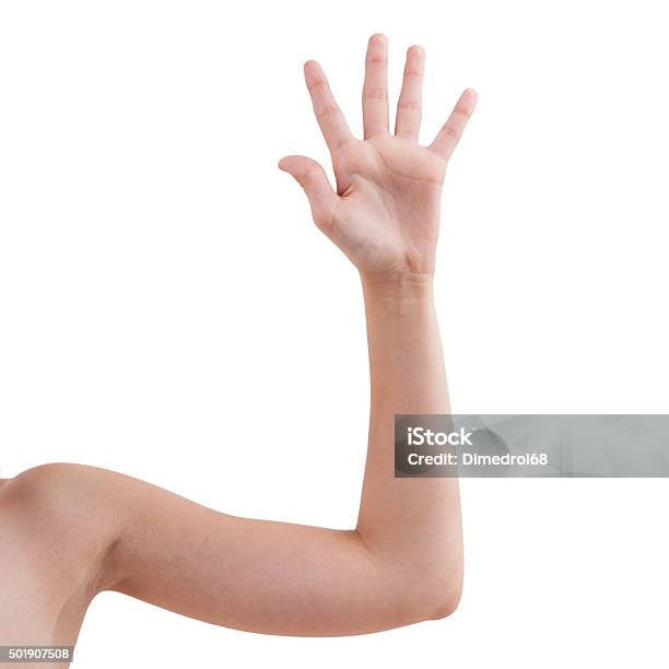 Curva De La Mano Del Hombre Con Su Palm Foto de stock y más banco de imágenes de Bajo el brazo - Bajo el brazo, Brazo humano, Hombres