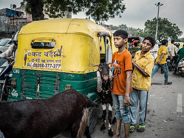 Delhi, India - September 19, 2015:Children with goat in a market around Jama Masjid Old Delhi India. Considered the heart of the metropolitan capital  this is the oldest quarter of the city founded in 1639. Thousands of goats are being sold here previously to the celebration of the Eid-al-Adha or Sacrifice Feast a muslim celebration that  honors the willingness of Abraham (Ibrahim) to sacrifice his son, as an act of submission to God's command.