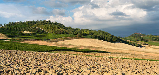 istock Vineyards in Oltrepo Pavese (Italy) 501912754