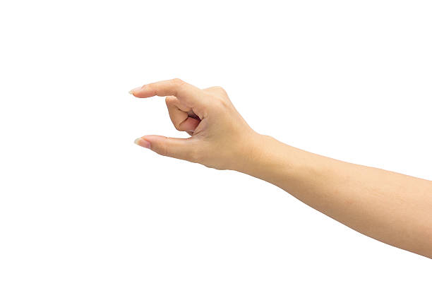 istock female hand on the isolated on white background 501914590