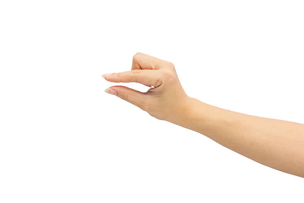 istock female hand on the isolated on white background 501914614