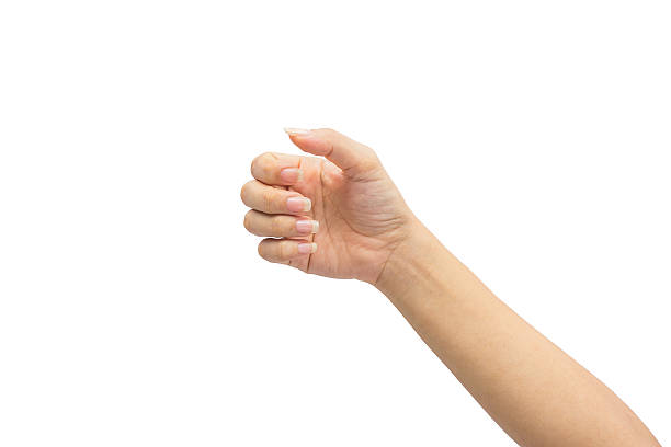istock female hand on the isolated on white background 501914662