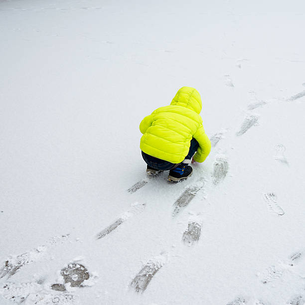 istock Asian boy playing in the snow 501917474