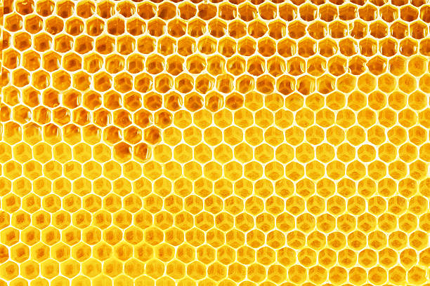 istock natural honey in honeycomb background 501931410