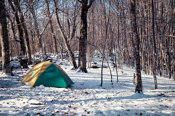 istock Tent in a snowy forest 501931940