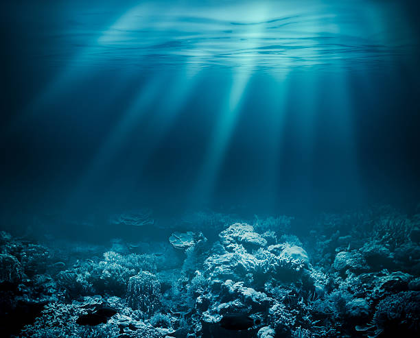 istock Sea deep or ocean underwater with coral reef as a 501933626