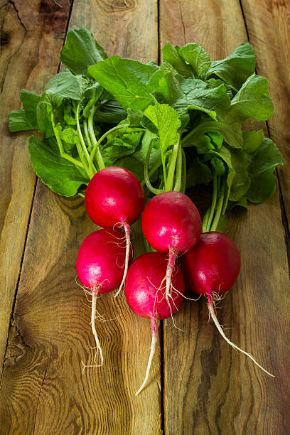 istock Large bunch of fresh radish 501934604