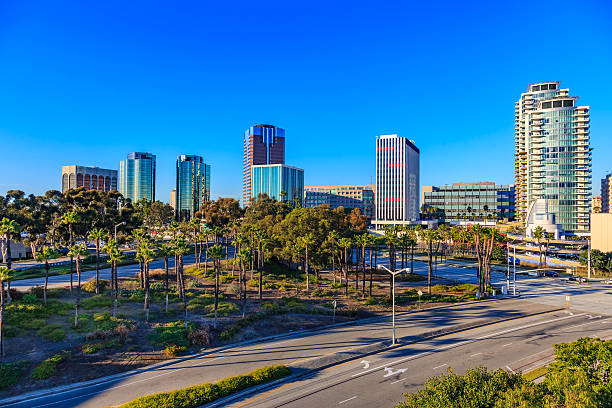 istock Skyscrapers of Long Beach skyline with palm trees,CA 501934904