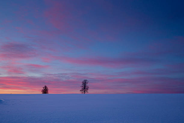 istock Sunset winter landscape with snow-covered road 501935178