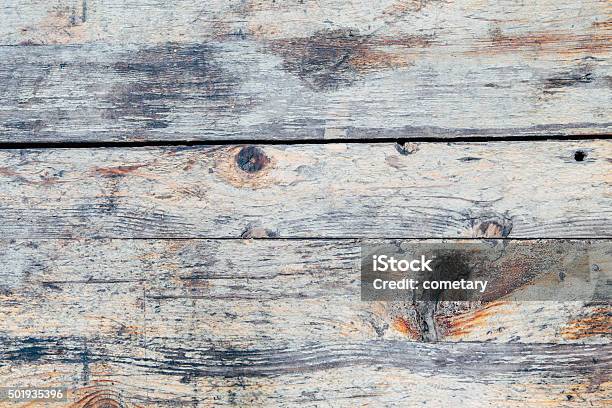 Nature Wood Stock Photo - Download Image Now - Aging Process, Animal Markings, Backgrounds
