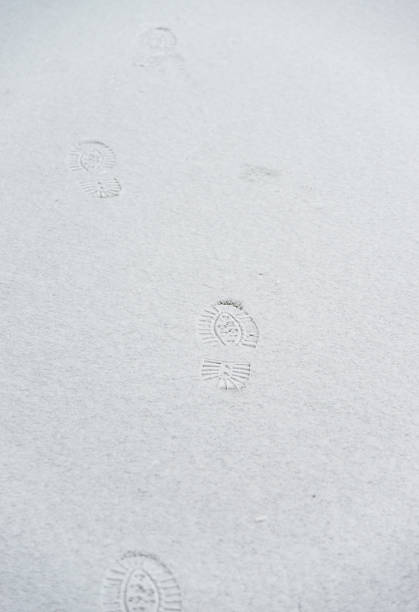 istock Group of footprints in the snow 501935712