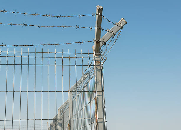 istock Metal grid fence with barbed wire on the top 501937252