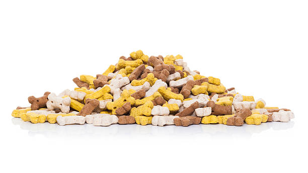 istock mound of pet food 501944758
