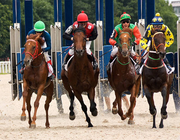 Horse racing Start of the race for the prize. jockey stock pictures, royalty-free photos & images