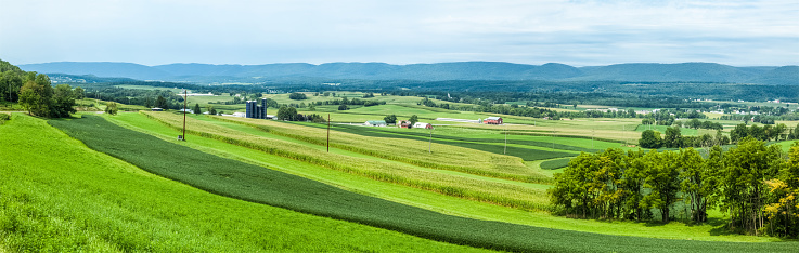 One of Pennsylvania's many central agricultural valleys. Many fields of various shades of green with majestic mountains as a backdrop.