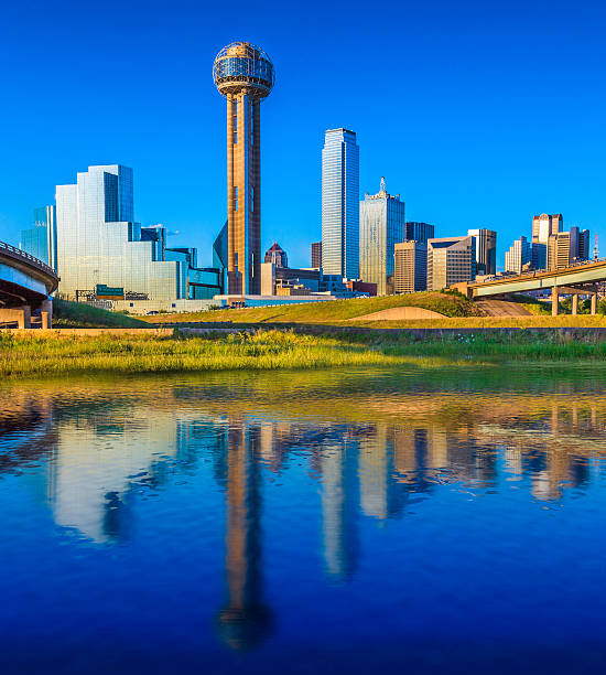 istock Dallas Skyline Over Water Reflection in Daylight with Cityscape Skyscrapers 501946569