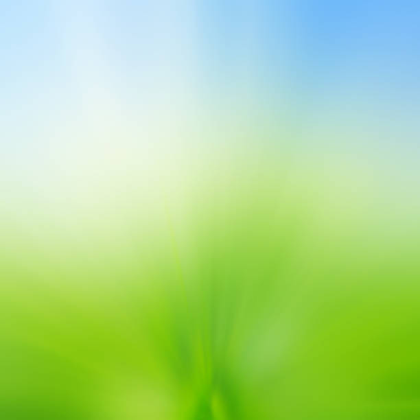 istock beautiful green blur background 501947419