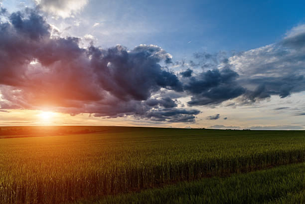 istock Sunset over spring field in country 501947703