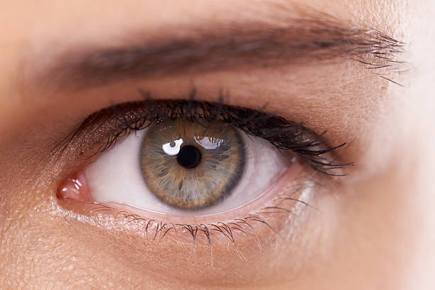 istock Wide eyed beauty 501948471