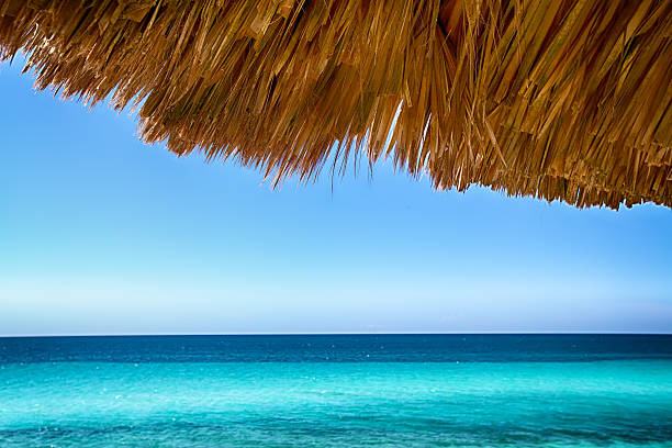 istock Natural umbrella on a beautiful beach in Cuba 501950809