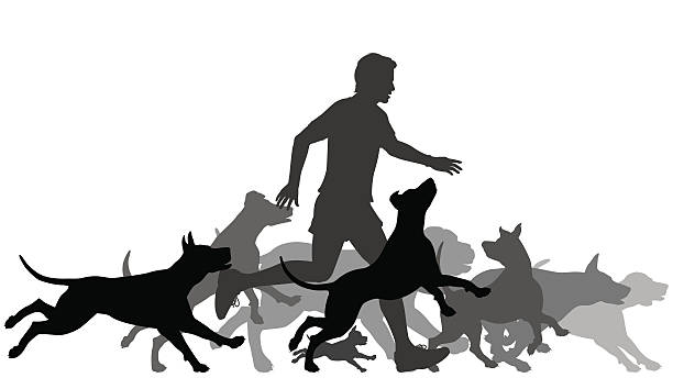 ilustrações de stock, clip art, desenhos animados e ícones de corrida de cães - purebred dog illustrations