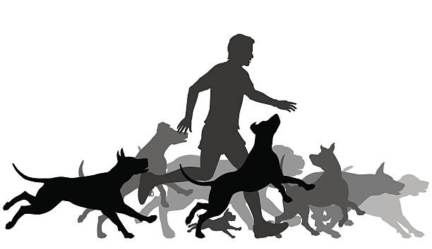 Running with dogs Editable vector silhouettes of a man and pack of dogs running together with all elements as separate objects dog running stock illustrations