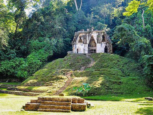 templo de la cruz foliada-palenque, messico - foliated foto e immagini stock
