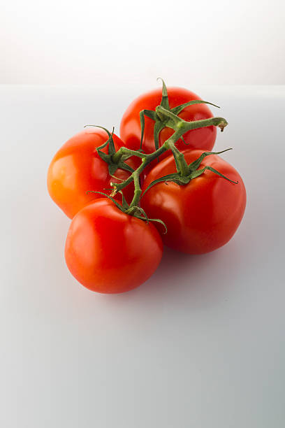 istock Red tomatoes on a green branch on a white background 501963376