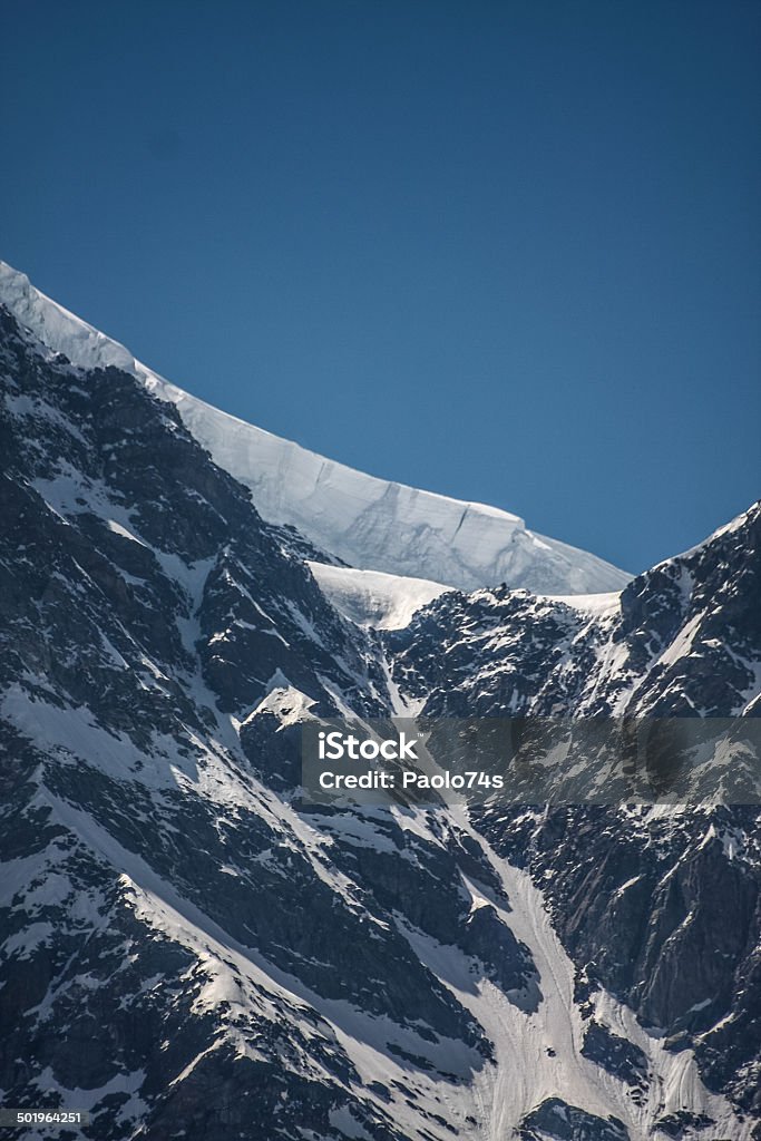 the Monte Rosa Alps Animal Wildlife Stock Photo