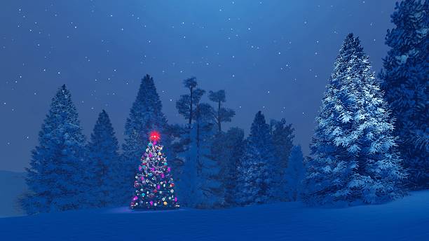 istock Decorated christmas tree among snowy fir forest at night 501966314