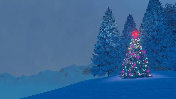istock Decorated christmas tree on mountain top at winter night 501966338
