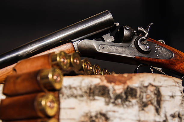 istock Hunting rifle on the wood 501968446