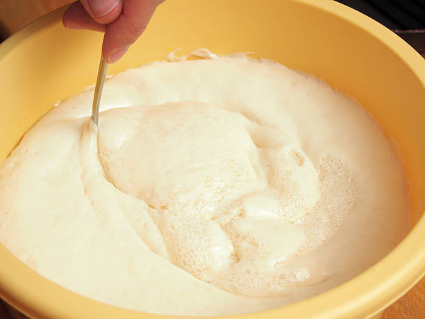 istock Mixing batter after rising. Making yeast pancakes (crepes). 501969396