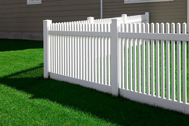 istock lawn near the house 501971146