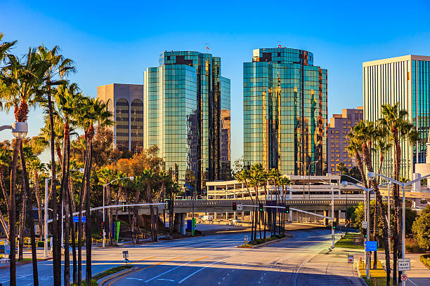 istock Skyscrapers of Long Beach skyline with palm trees,CA 501973994