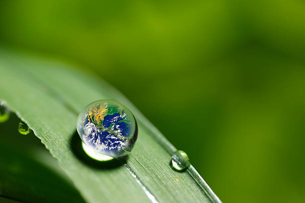istock leaf with rain droplets - Recovery earth concept 501977670