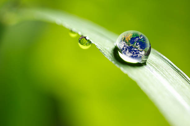 istock leaf with rain droplets - Recovery earth concept 501977734