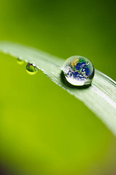 istock leaf with rain droplets - Recovery earth concept 501977844