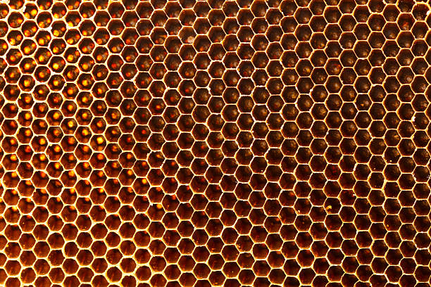istock Beautiful honeycomb without honey texture 501996199