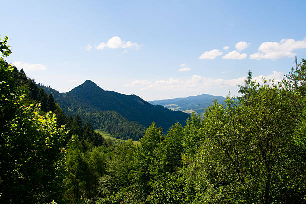 istock Mountain landscape of Pieniny 501997429