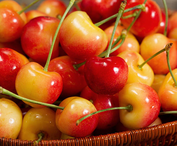 istock Basket filled with Ripe Golden Cherries 501997981